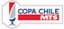Chilean Cup
