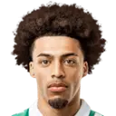 Serginho