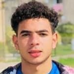 Tariq Alaa