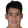 Sergio Araujo