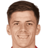 Luka Ilic