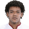 Romarinho