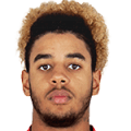 Willem Geubbels