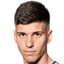 Milan Vukotic