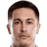 Ajdin Redzic