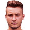 Tom Trybull