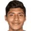 Carlos Gamarra