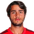Henrique Pereira