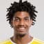 Justin Araujo-Wilson