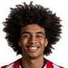 K. Ferdinand