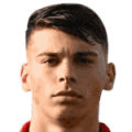 Brooklyn Borg