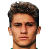 Stefano Piccinini