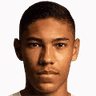 Vinicius Balieiro