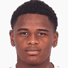 Vinicius Mello