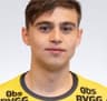 Emir Derviskadic