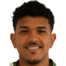 Yan Lincon Farias de Sousa