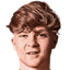 Harry Vaughan
