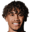 Roman Dixon