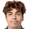 Mihai Lupan