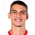Danilo Teodorovic