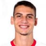 Danilo Teodorovic