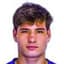 Fernando Henrique Pires Costa