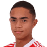 Luis Otávio