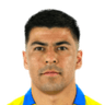 Tomás Alarcón