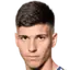 Milan Vukotic