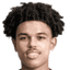 Shola Shoretire