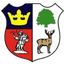 Cinderford Town