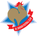Shanghai Shenxin