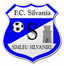 Silvania Simleu Silvaniei