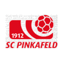 Pinkafeld