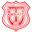 Técnico Universitario