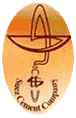 Suez Cement