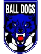 Ball Dogs