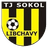 Libčany