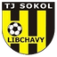 Libčany