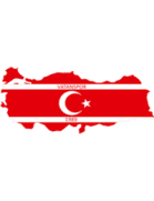 Vatanspor