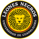 Leones Negros