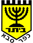 Ihud Bnei Kfar Kara