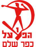 Hapoel Kfar Shalem