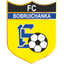 Bobruichanka W