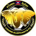 Young Elephant