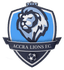 Accra Lions FC