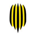 Rukh Vynnyky II