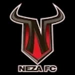 Toros Neza UTN