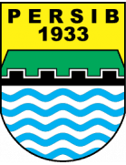 Persibat Batang