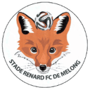 Stade Renard